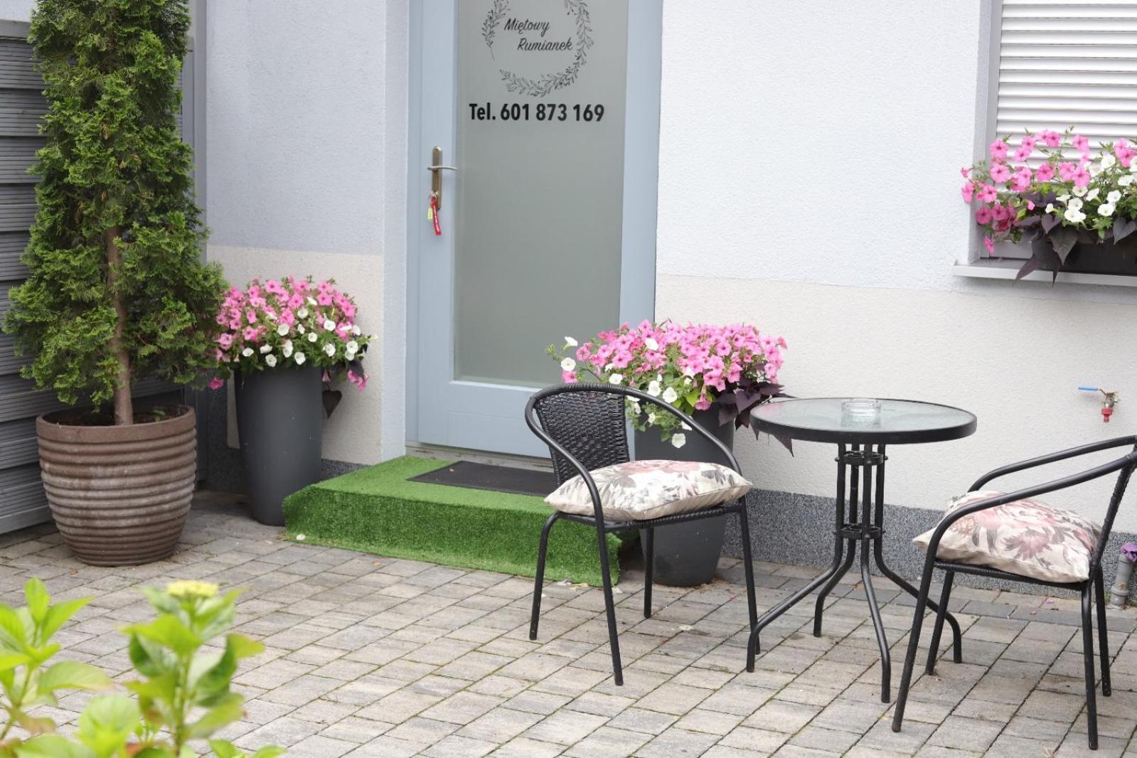 2 Apartament Mietowy Rumianek Lwowek Exterior foto